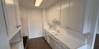 5301NEW Gallery 17