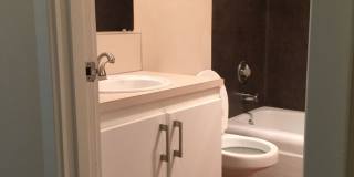 Currently available: Spacious One Bedroom One Bath Currently available: Spacious One Bedroom One Bath Gallery 16