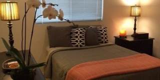 1751 Stargazer Pass Gallery 19