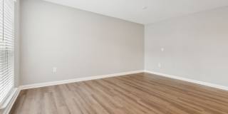 Buena Vista Gallery 77