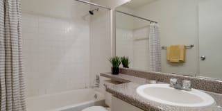 Pear Orchard Gallery 17