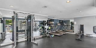 Greenhouse Gallery 22