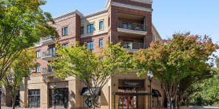 SouthPark Morrison Gallery 33