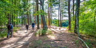 Lincoln Heights Gallery 40