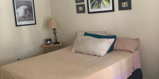 FURNISHED 1 bedroom 1 bath for rent lease 571 Water St., Celebration, FL 34747 Gallery 18
