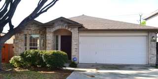 10414 LION HUNT Gallery 1