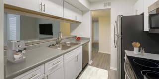 Southaven Pointe Gallery 3