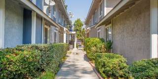 527 Spring Road Gallery 2