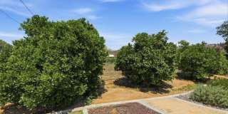 16540 Wagon Wheel Gallery 52