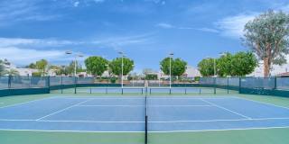 616 Violeta Drive Gallery 1