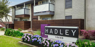 Hadley at Bellmar Gallery 9