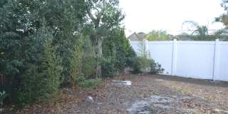 1351 Whitehall Ln Gallery 21