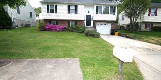 4405 APEX Lane Gallery 1
