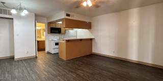 Laurel Lane Gallery 13