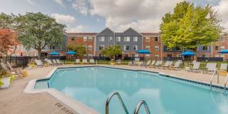 Spice Tree Gallery 12