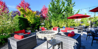 Bella Sonoma Gallery 3