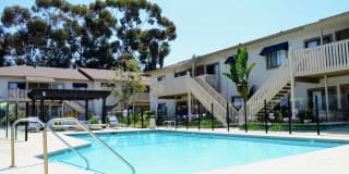 La Jolla Canyon Gallery 13