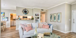 Derby at Steeplechase Gallery 11