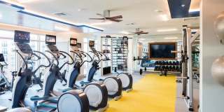 Park Central Gallery 5