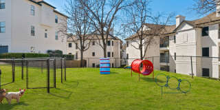 Arboretum at Lewisville Gallery 14