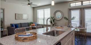 The Mark on Solon Gallery 8