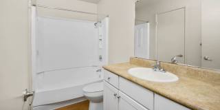 Lantern Cove Gallery 45