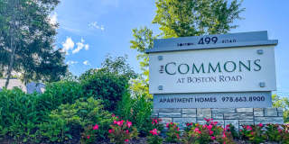 Commons at Boston Road Gallery 14