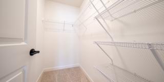 21618 Orchid Path Gallery 18