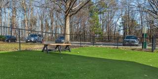 Village Green - Student Housing Gallery 39
