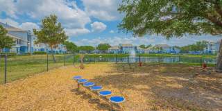 Grove at SouthShore Gallery 21