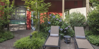 Canyon Park Gallery 24