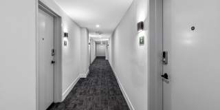 Arvella Arvella Gallery 91