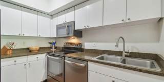 2440 W HORATIO STREET Gallery 5