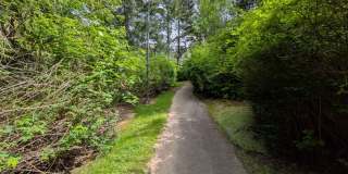 Pristine Spacious 3 Bedroom Lake Oswego Townhome | Skylights, High Ceilings, and Mt. Park Trails at your Doorstep Gallery 41