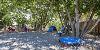 Blue Agave Villas Gallery 11