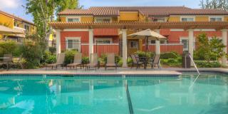 Peppertree Apartments Gallery 6