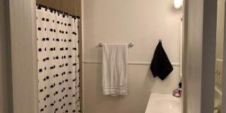 2807 Elgin Avenue Gallery 5