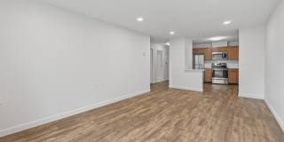73 Palmer St. Gallery 1