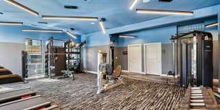 Collier Luxury Living Gallery 12