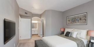 Arium Meadows Gallery 28