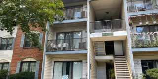 306 Hampshire Court Gallery 1
