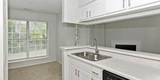 Canopy at Baybrook Canopy at Baybrook Gallery 3