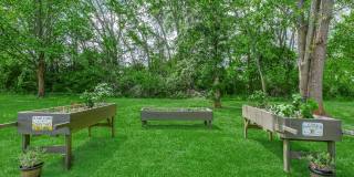 Alder Terrace Gallery 43
