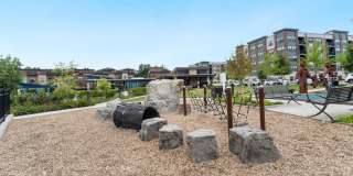 3533 BELLFLOWER LN Gallery 44