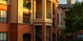Bella Madera Gallery 68