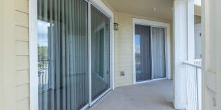 RIZE at Winter Springs Gallery 155