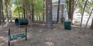 Seasons at Umstead Gallery 29