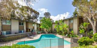 Elán Solana Pointe Gallery 4