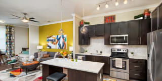 AMLI Buckhead Gallery 28