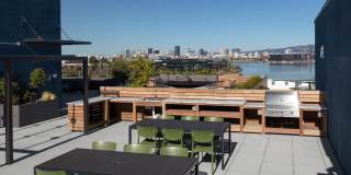 Star Harbor Gallery 9